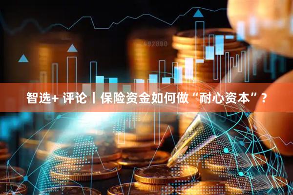 智选+ 评论丨保险资金如何做“耐心资本”？