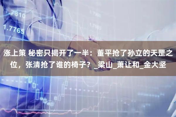 涨上策 秘密只揭开了一半：董平抢了孙立的天罡之位，张清抢了谁的椅子？_梁山_萧让和_金大坚