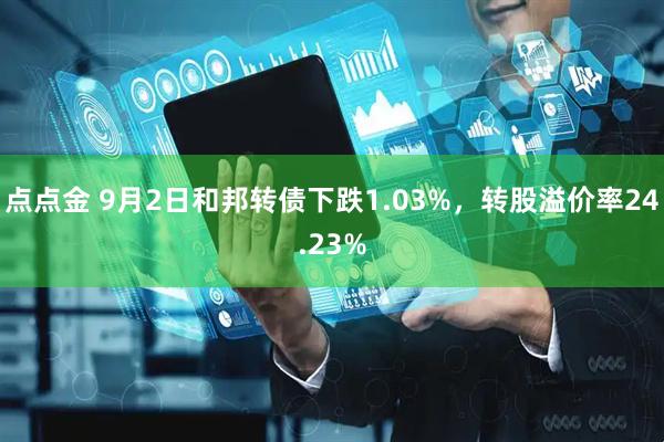 点点金 9月2日和邦转债下跌1.03%，转股溢价率24.23%