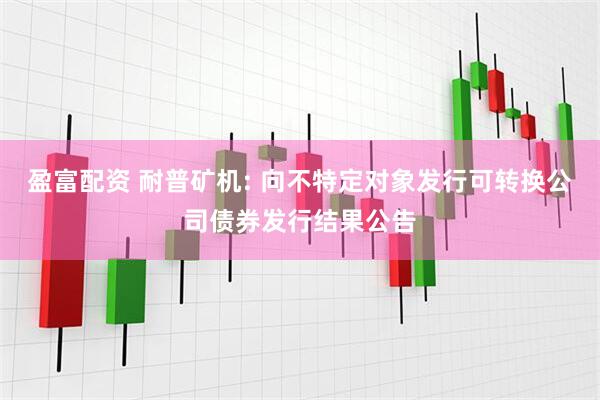盈富配资 耐普矿机: 向不特定对象发行可转换公司债券发行结果公告